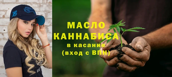 молекула духа Надым