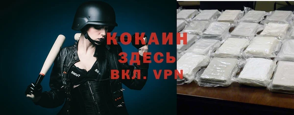 молекула духа Надым