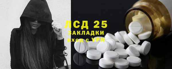 трава Наволоки