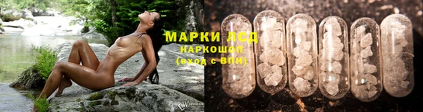 трава Наволоки
