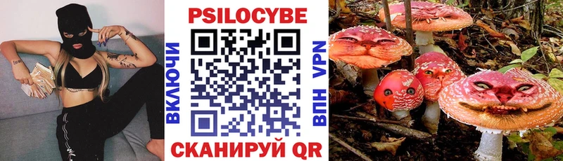 Псилоцибиновые грибы мицелий  Неман 